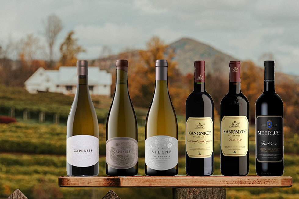 The Finest South African Wine Producers: Kanonkop, Meerlust, and Capensis