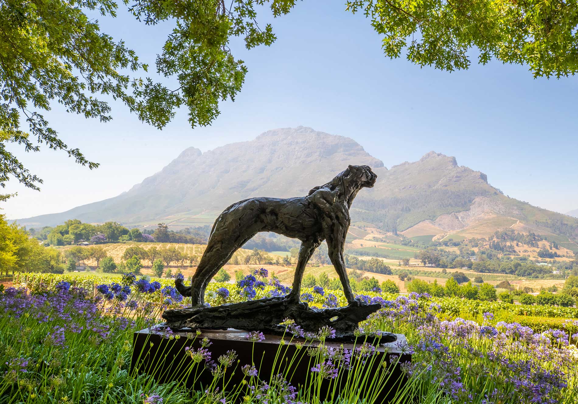 Top South African wineries to visit on your trip – Part 2