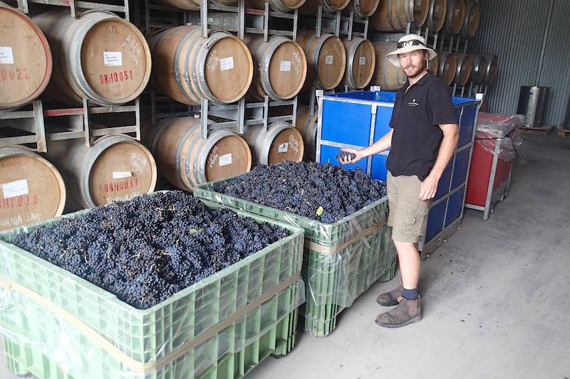 Featured winemaker: Rob Mack