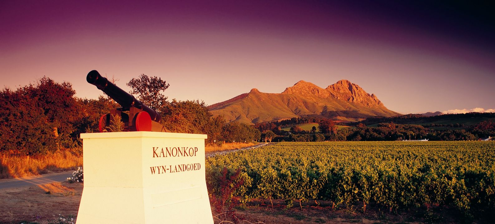 Featured Winery - Kanonkop Wine Estate