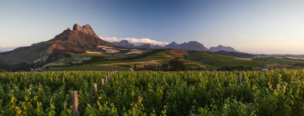 Top South African wineries to visit on your trip – Part 1