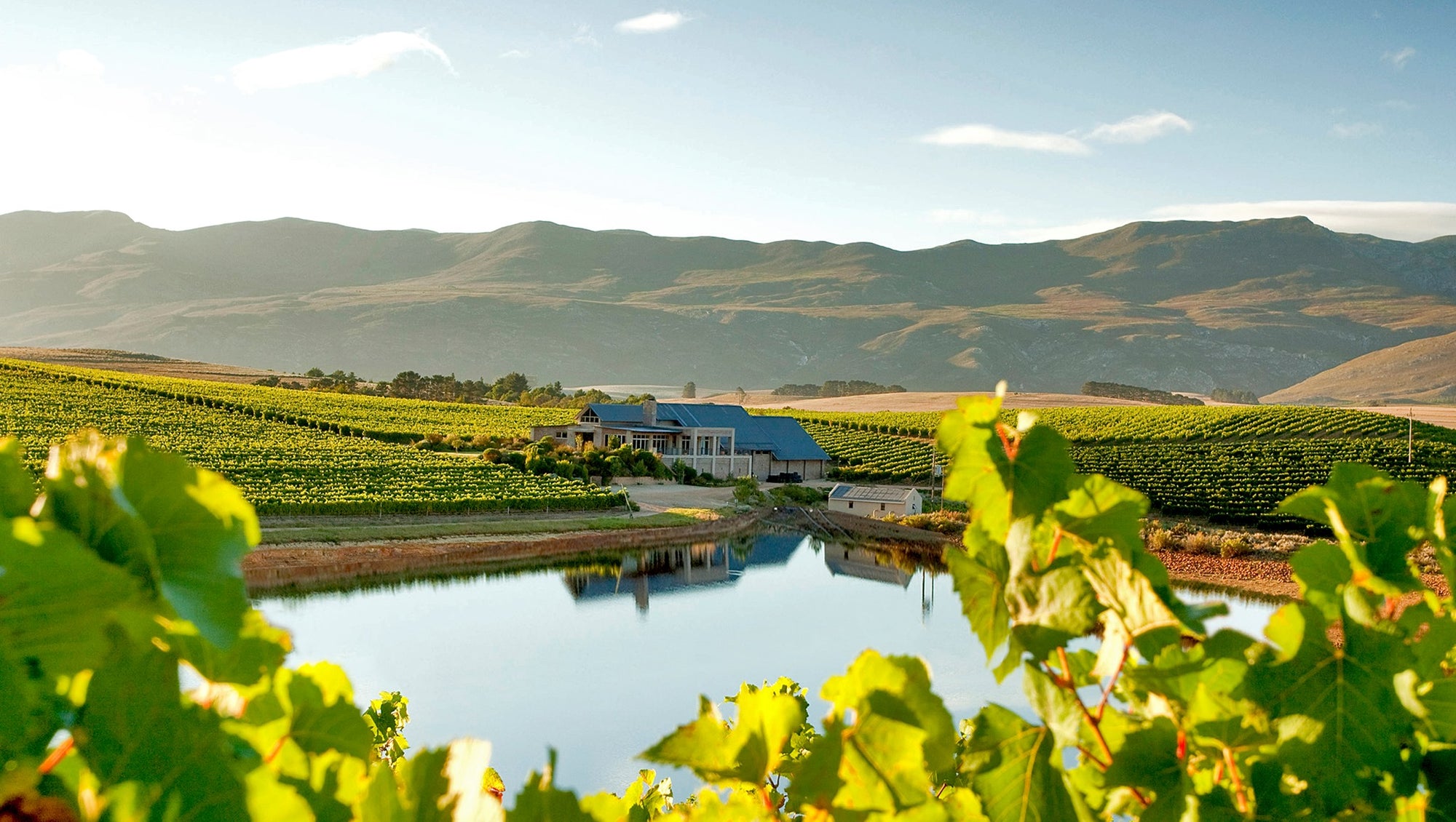 Top Wineries To Visit On Your Trip – Part 8