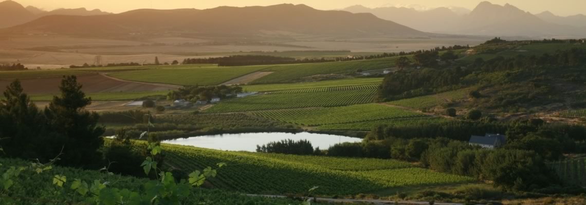 The new frontier - Wine from South Africa