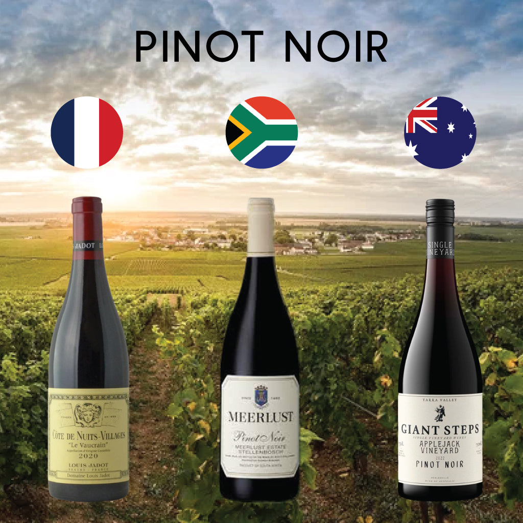 Exploring Wines Across Continents