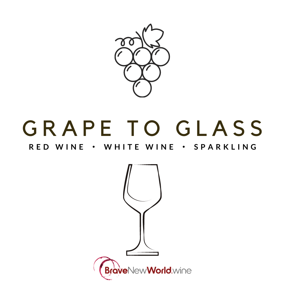 Grape to Glass