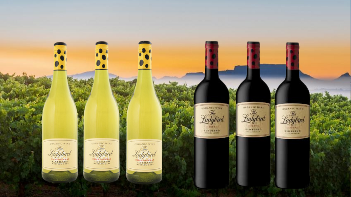 Get to Know Ladybird Vineyards BraveNewWorld.Wine