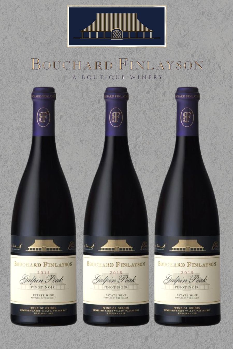 Lot 14 - Bouchard Finlayson Galpin Peak Pinot Noir 2015 BraveNewWorld.Wine